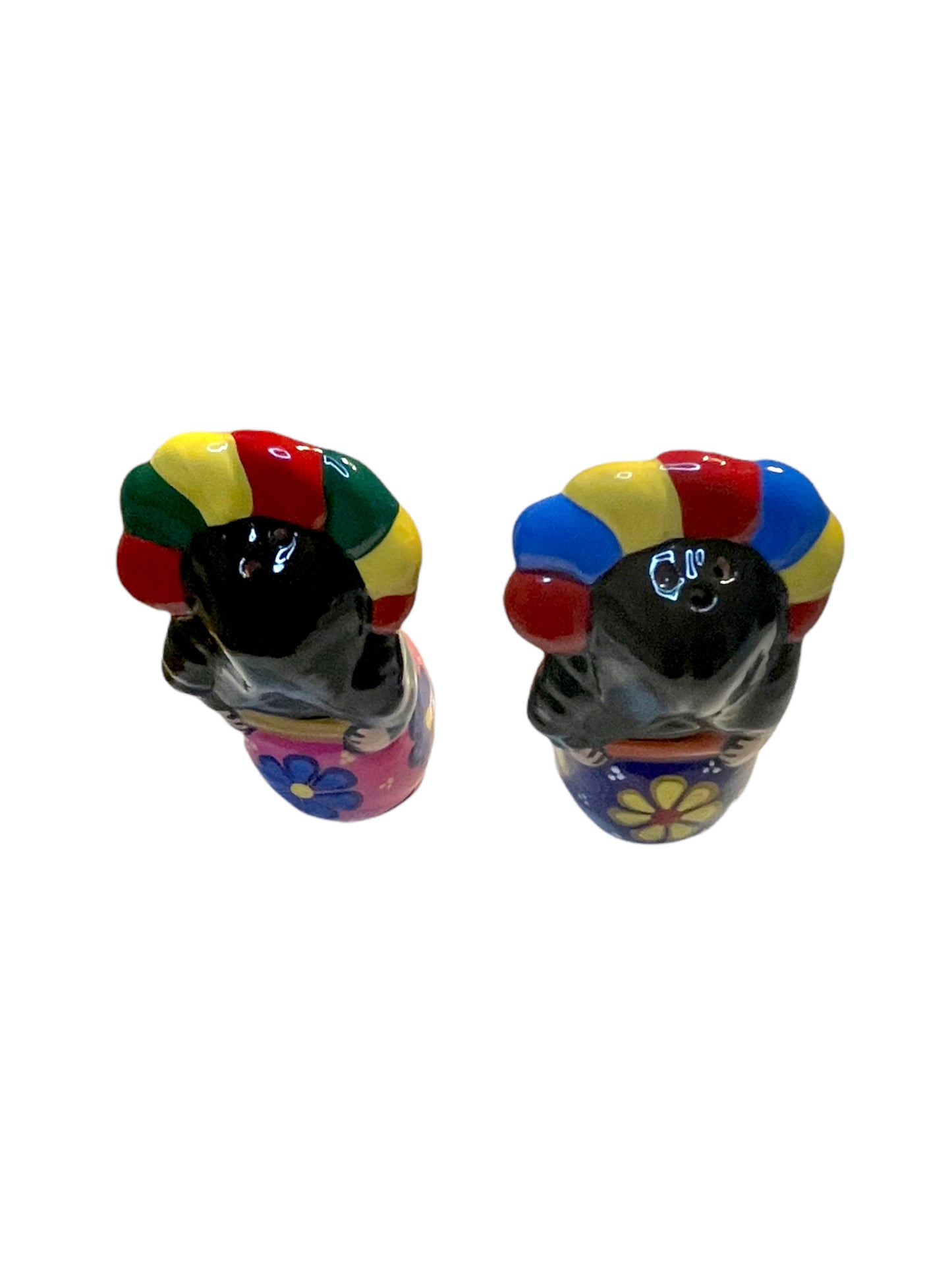 Ceramic Spice Seasoning Set